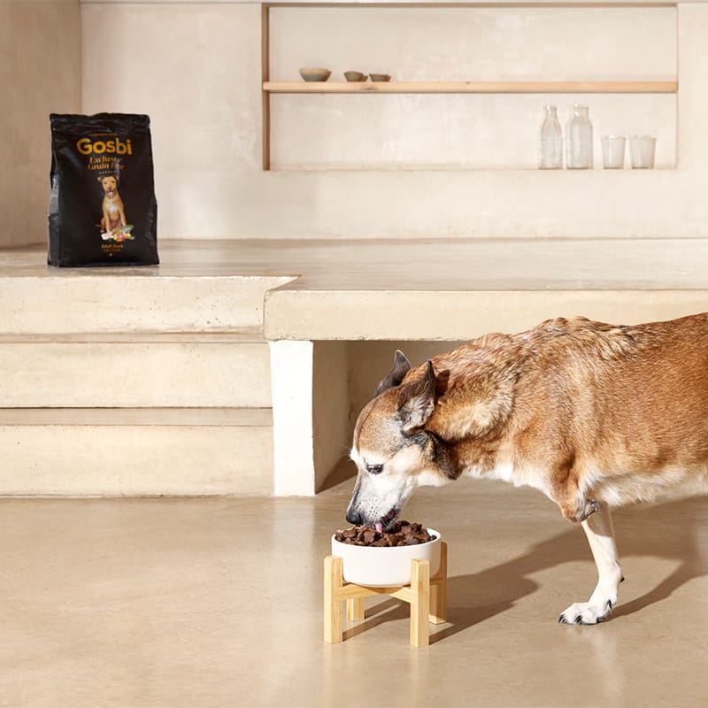 Exclusive Grain Free Dog Adult Medium Duck